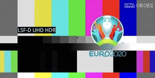 爆料欧洲杯的视频在哪看,独家爆料视频观看指南  第1张