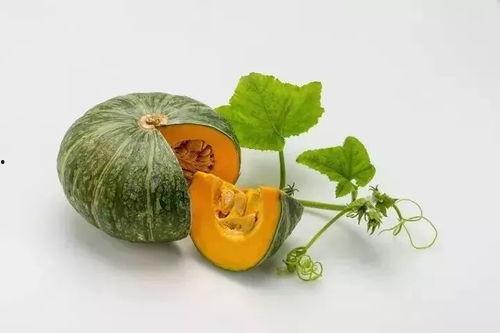 免费吃瓜长什么样子,免费吃瓜背后的神秘世界揭秘 第3张 免费吃瓜长什么样子,免费吃瓜背后的神秘世界揭秘 第3张